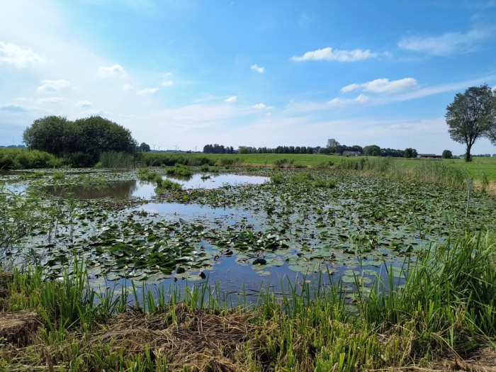 kolk kamperveen 1