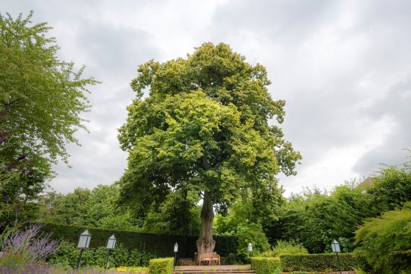 Limburg_DSC_2688_homepage3.jpg