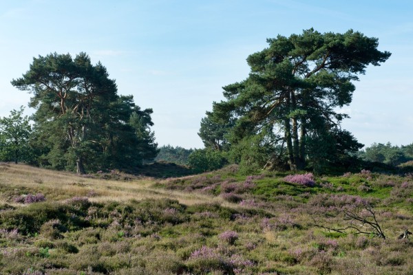 HuisopdeBergen_HM_DSC3413.jpg