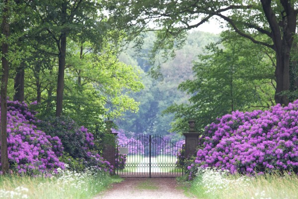 De Wiersse 2