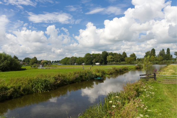 landschap