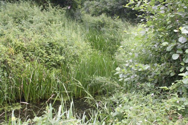 Uivermeertjes_07-2010_paaiplaats
