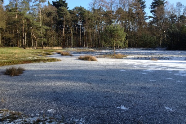Leersum_ven_winter_1247.JPG