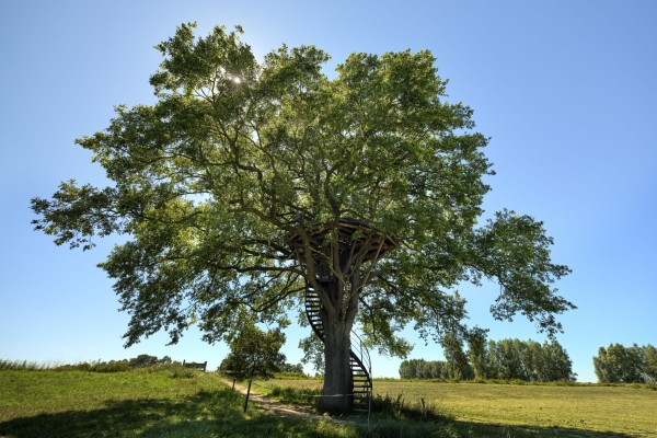 Overijssel-5-68-web2.jpg