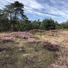 IMG_2440.JPEG