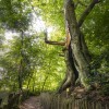 Gelderland_Rob-Visser-DSC_0161.jpg