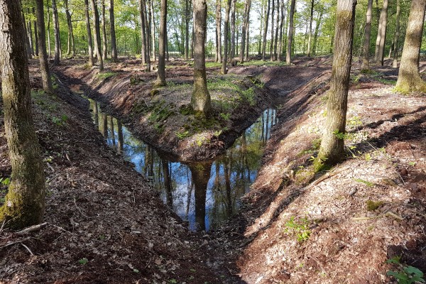 20180502_183809_Pothaar_Sterrebos.jpg